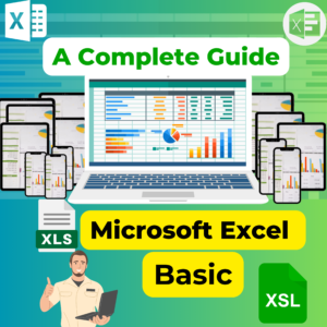 Microsoft Excel Basic